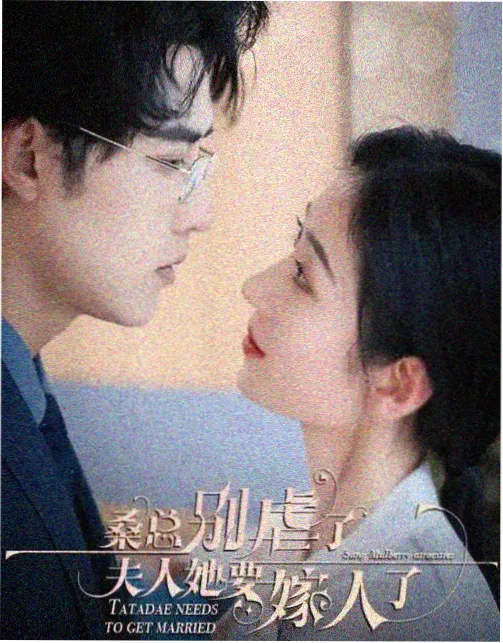 悬疑电影银灰航线档案配图，银白色机翼与淡紫夜空